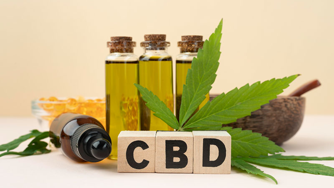 Exploring How CBD Interacts with the Endocannabinoid System