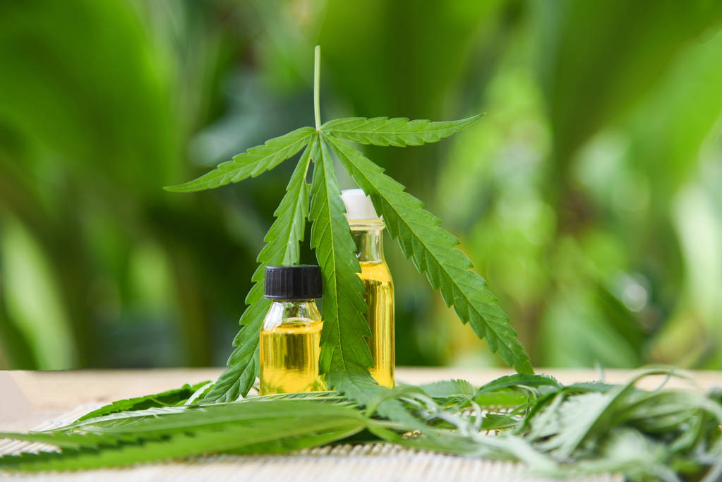 Understanding CBD: Benefits, Myths, and What Beginners Should Know