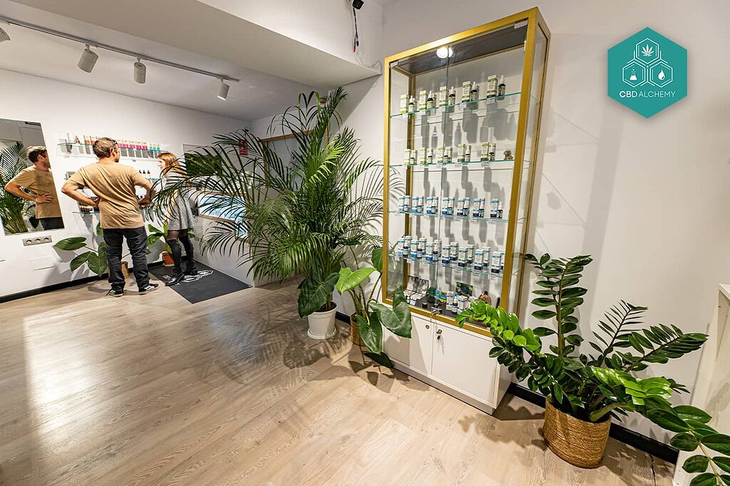 What Wellness Focused Shoppers Look for in Modern CBD Products?