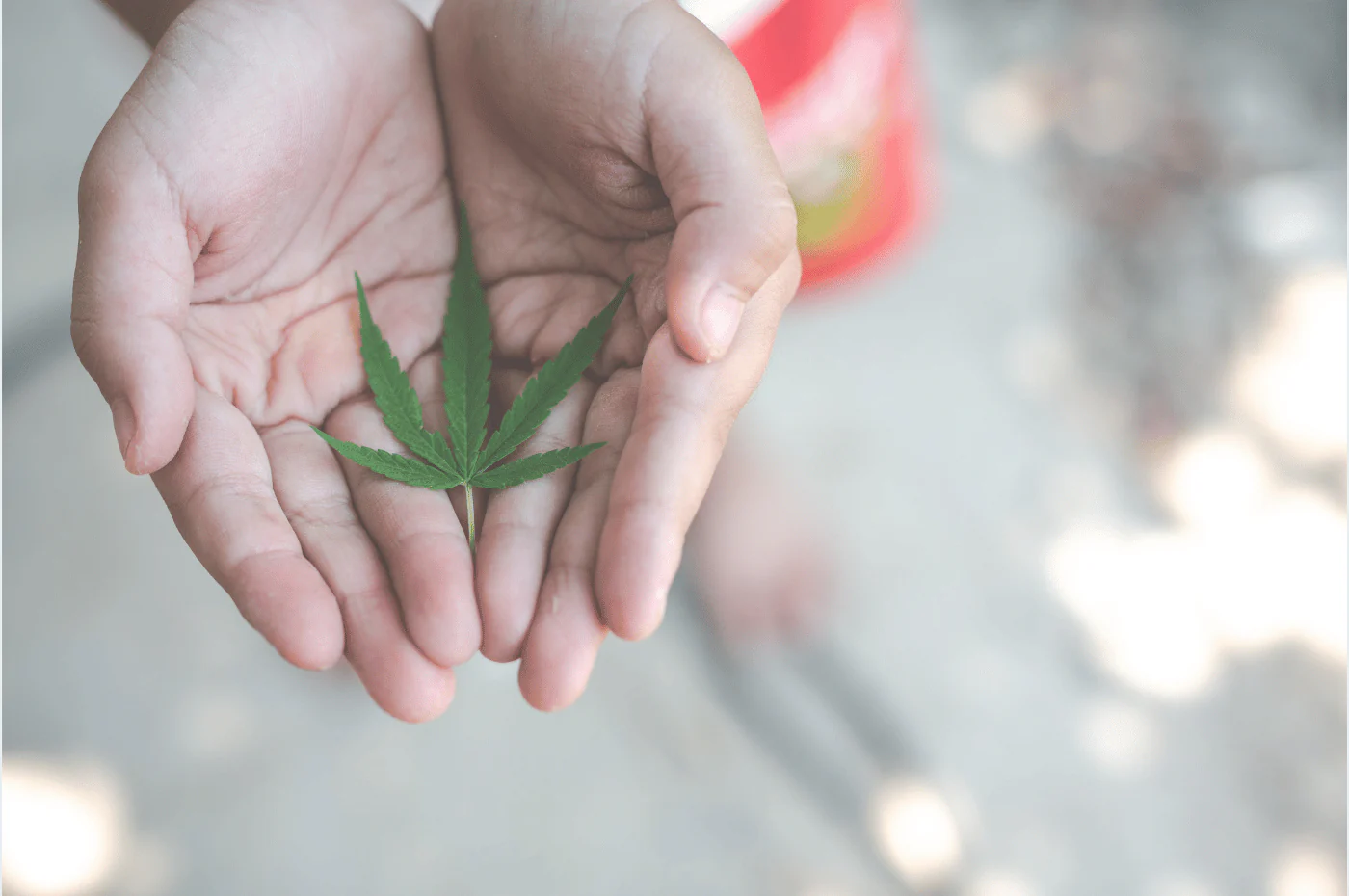 The Role Of Innovation In The Future Of CBD Development