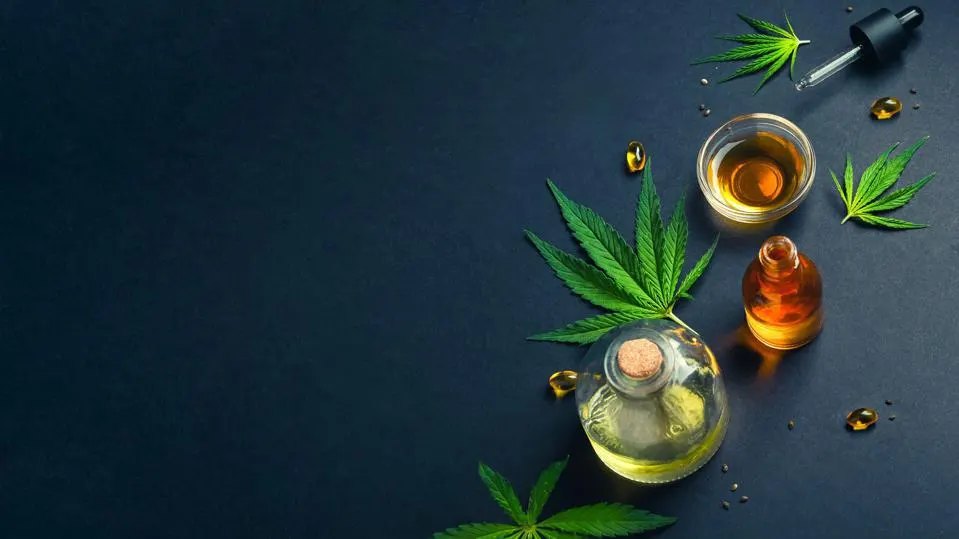 The Role Of CBD In Supporting Everyday Lifestyle Balance